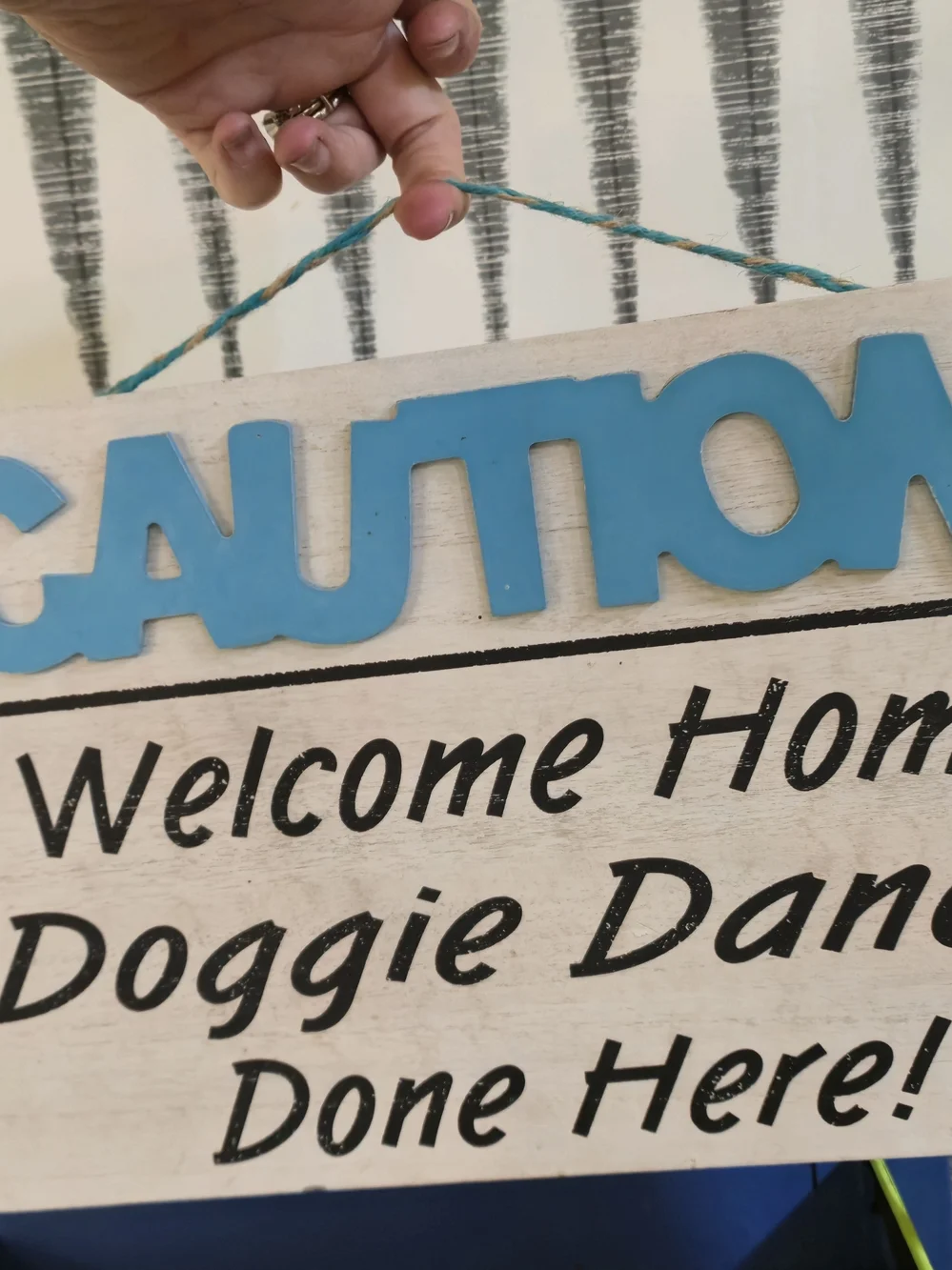 Doggie Dance Welcome Home Wooden Dog Sign – “Caution” Pet Wall Decor